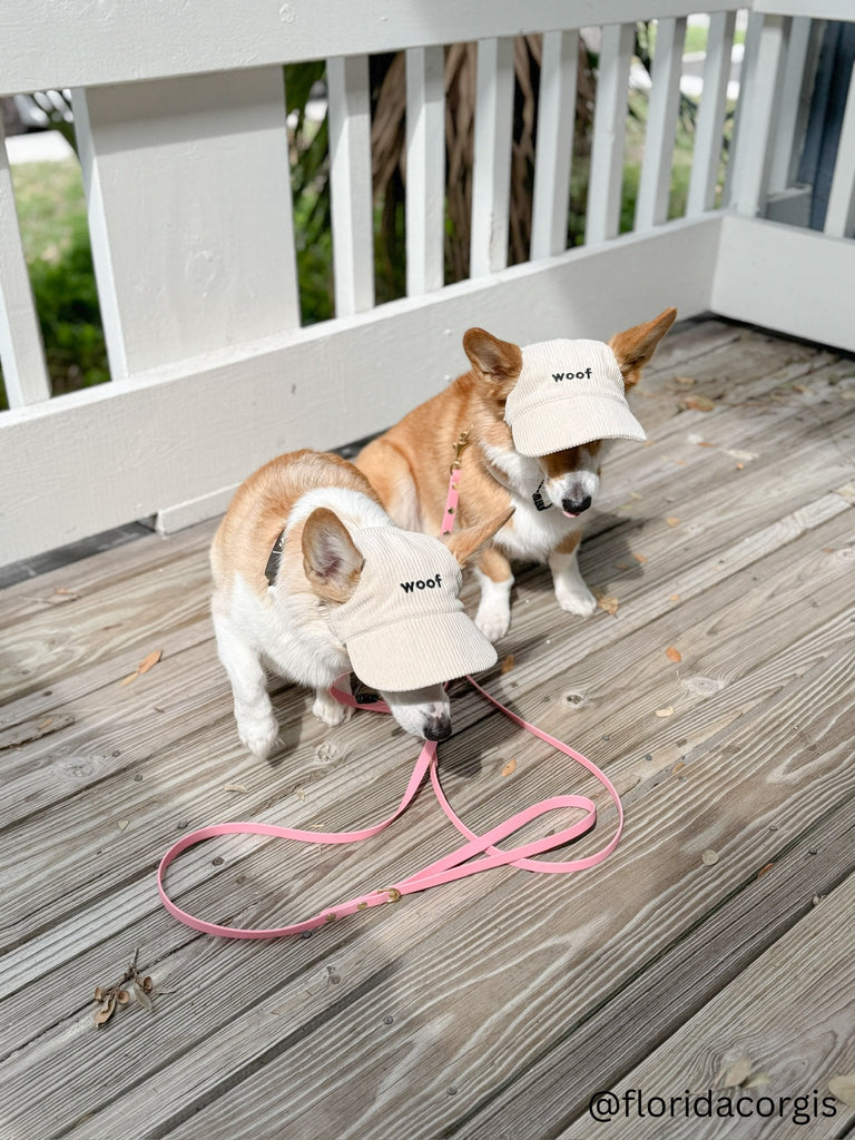 Dog Hats - PAWTY THINGS