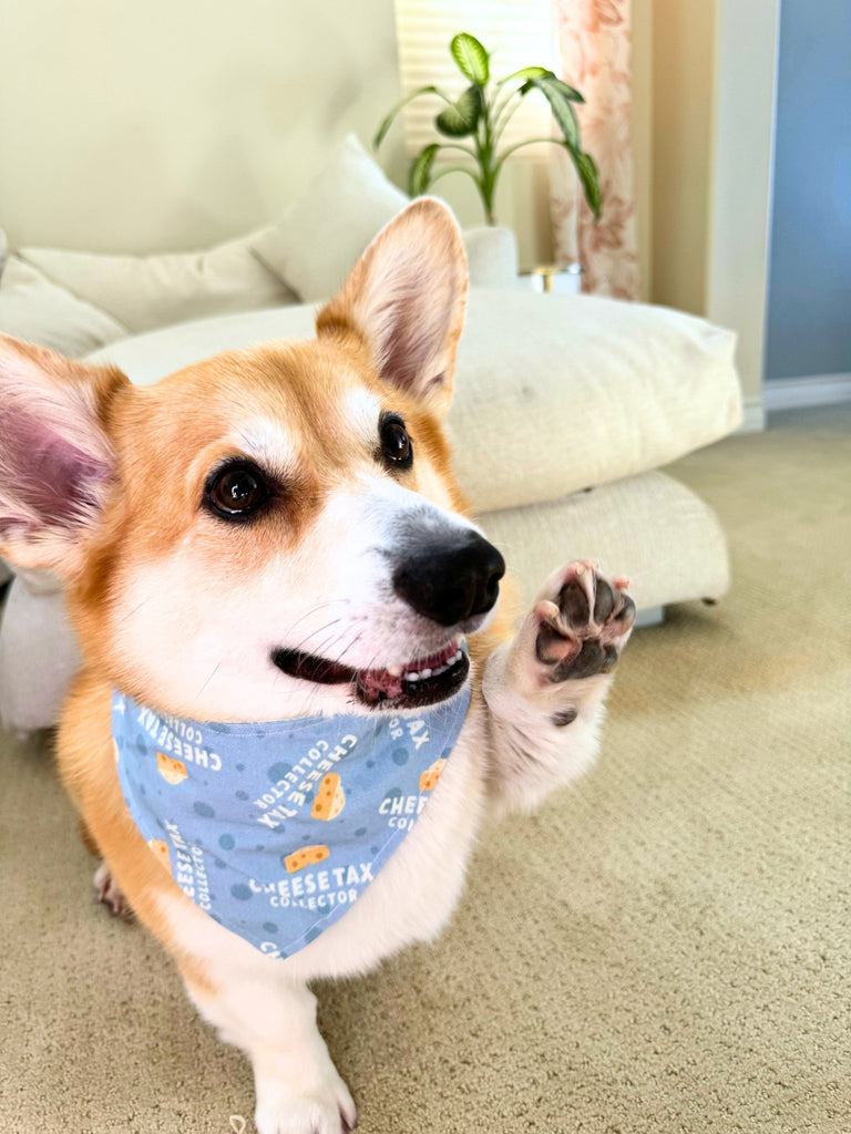 Cheese Tax Collector - Tie & Snap Bandana - PAWTY THINGS