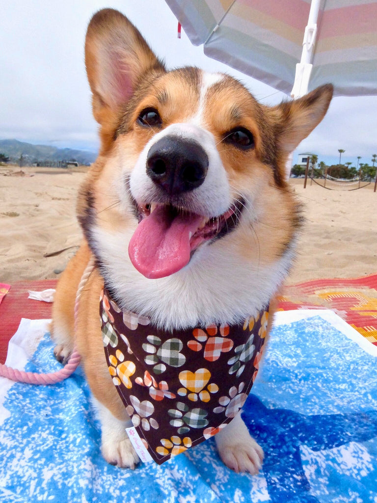 Plaid Paws - Tie & Snap Bandana - PAWTY THINGS