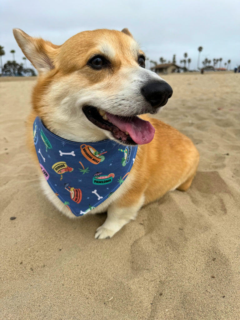 Summer Slurps - Tie & Snap Bandana - PAWTY THINGS