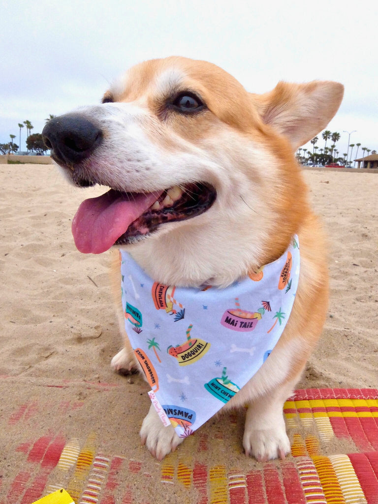 Summer Slurps - Tie & Snap Bandana - PAWTY THINGS