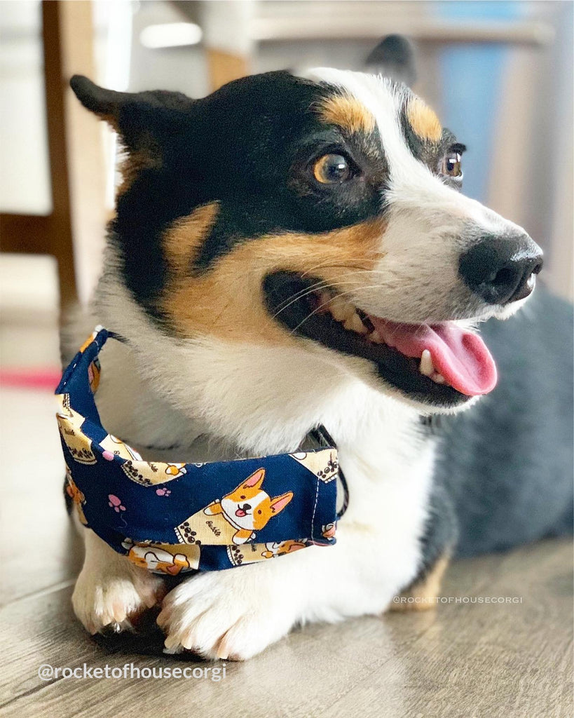 Corgi Boba Tea Pleated/Flat Washable Face Mask (Navy) - PAWTY THINGS